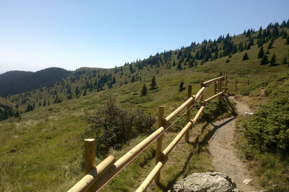 DSC00709